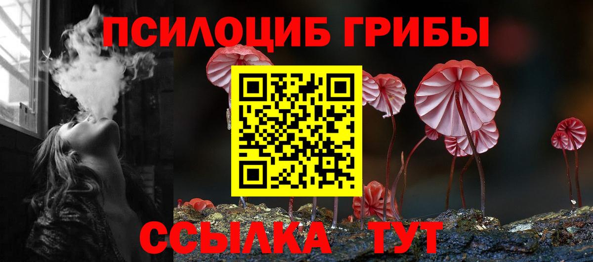 Псилоцибиновые грибы мухоморы Гусиноозёрск